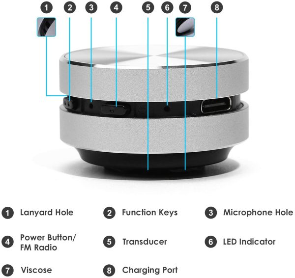 Hummingbird Speaker Online now