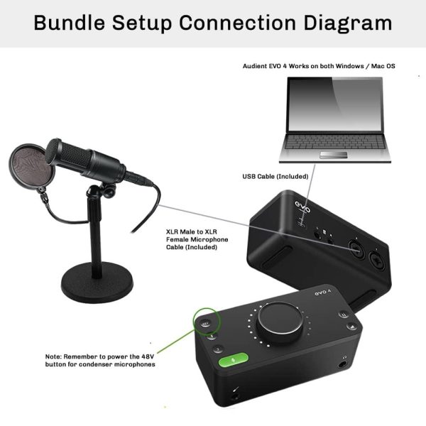 Live Streaming and Recording with Audient EVO 4 and AT2020 Microphone Bundle and Tabletop Mic Stand X4A Sale